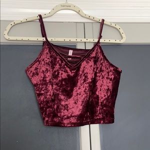 Velvet Crop Top
